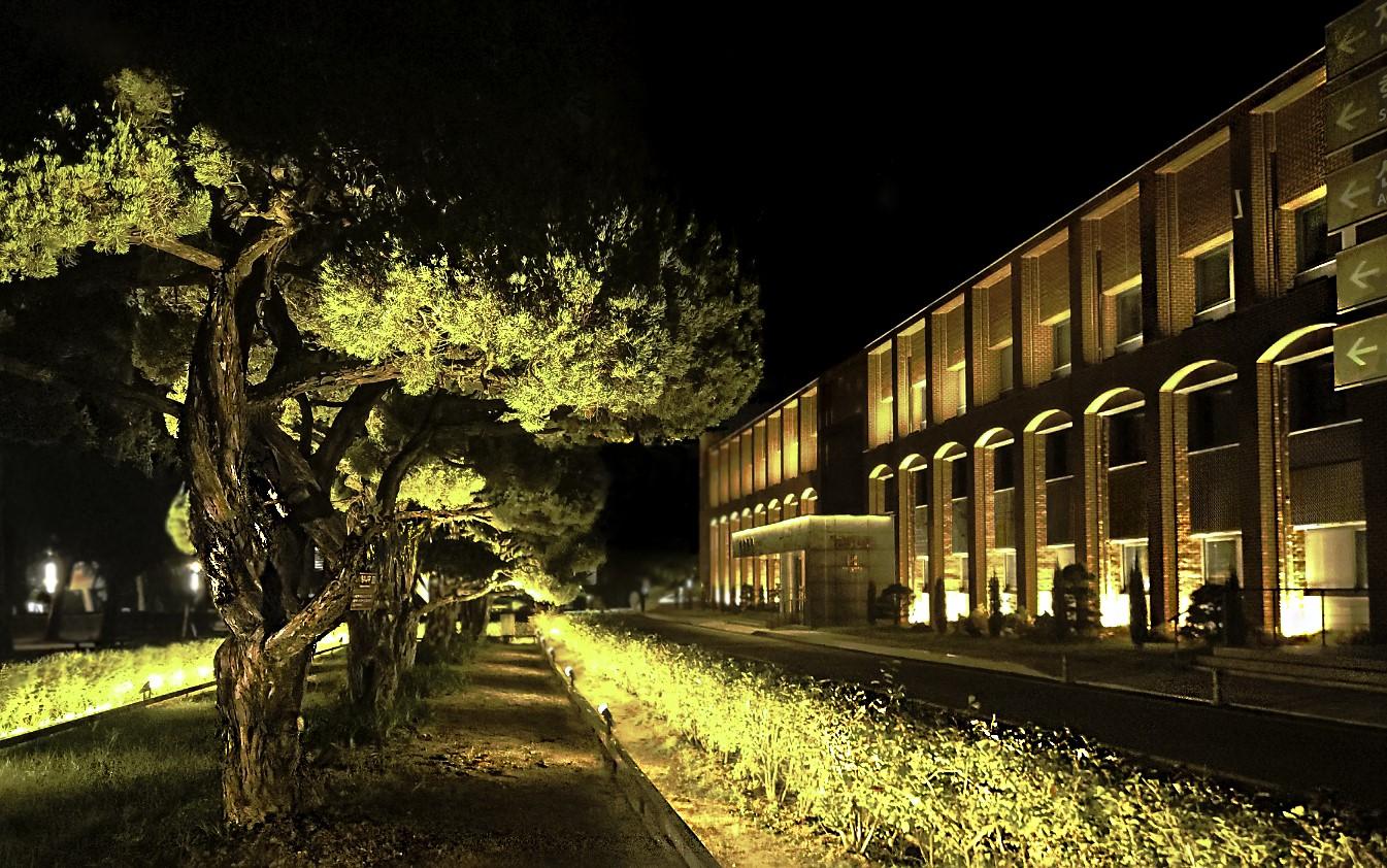 2024년도 캠퍼스 사진공모전 수상작(참가상)