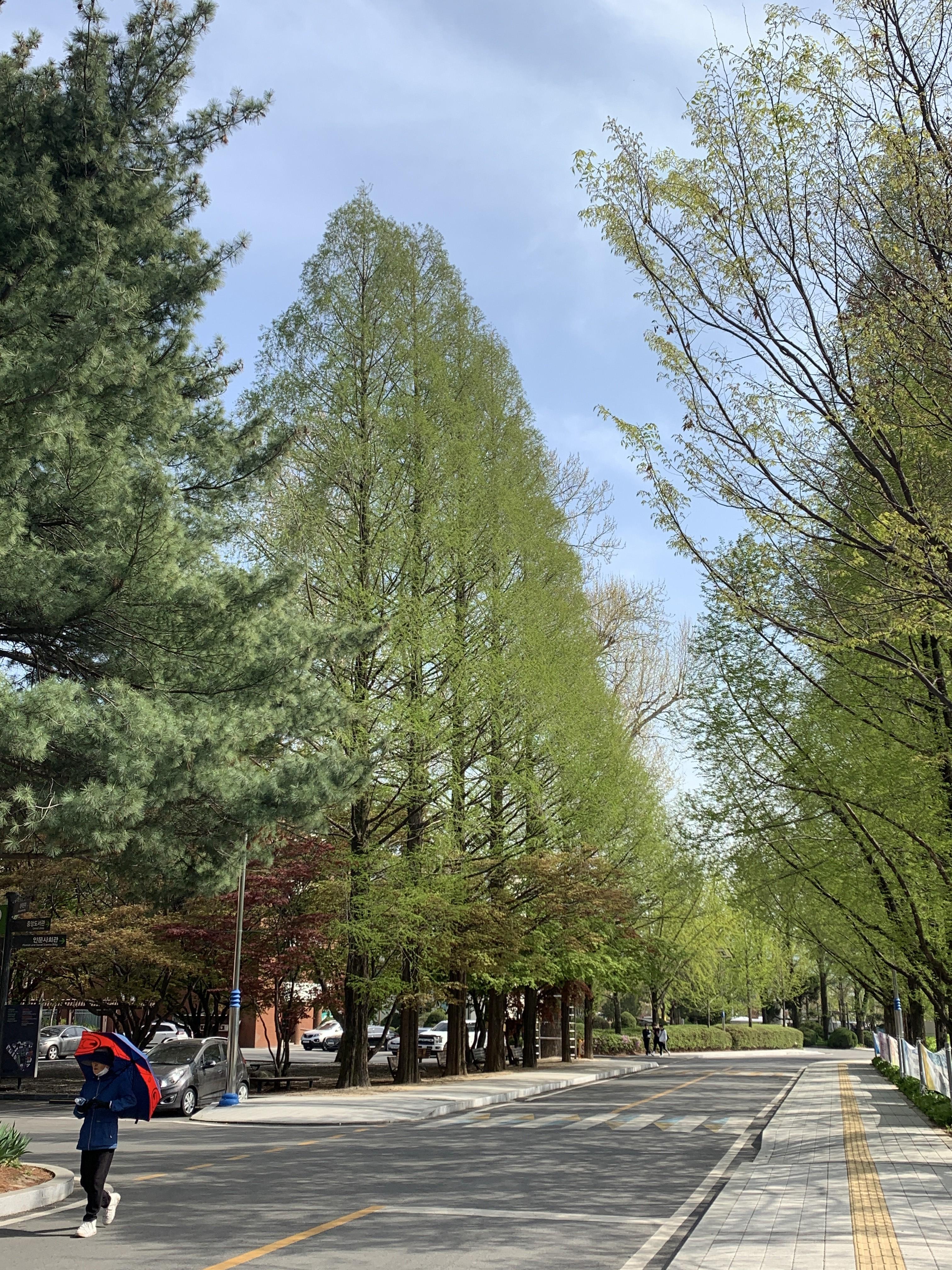 2024년도 캠퍼스 사진공모전 수상작(참가상)