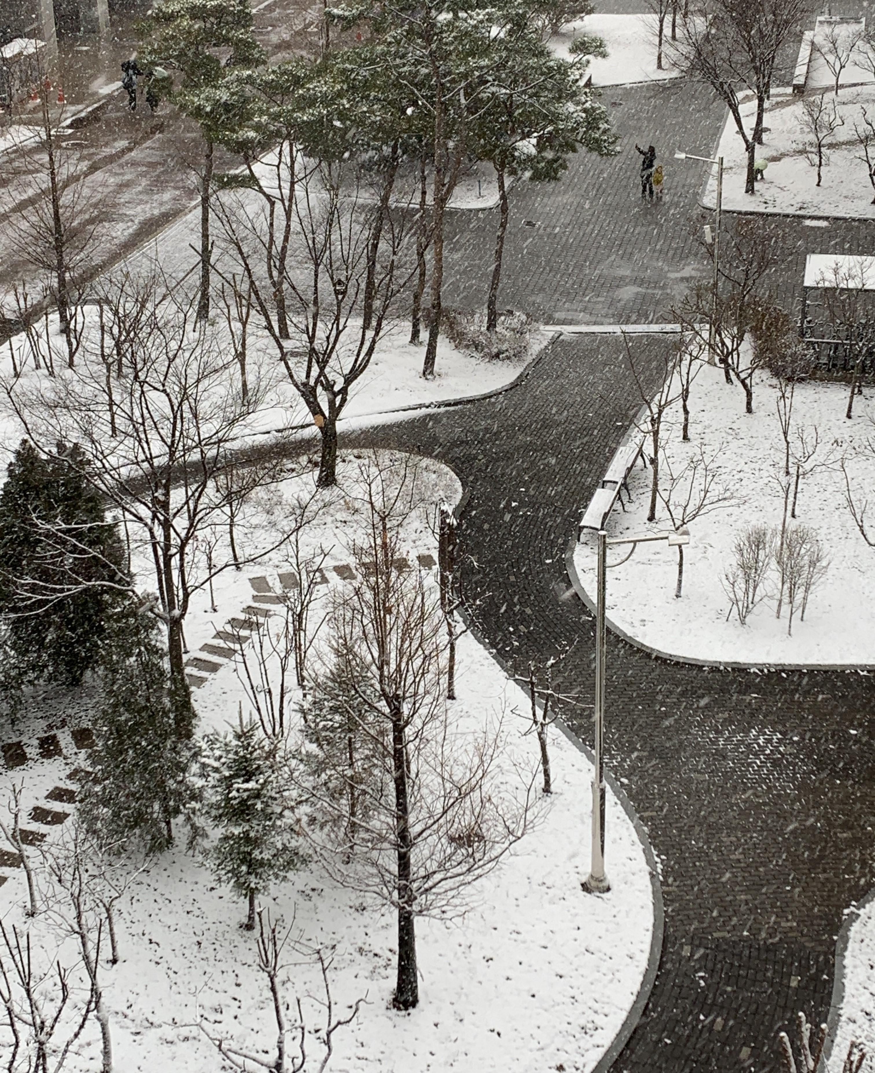 2024년도 캠퍼스 사진공모전 수상작(은상)