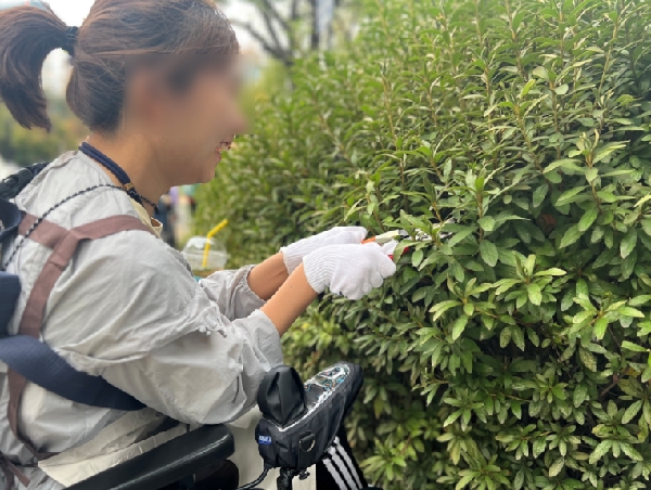 정원재활 연구 본격화 대표이미지